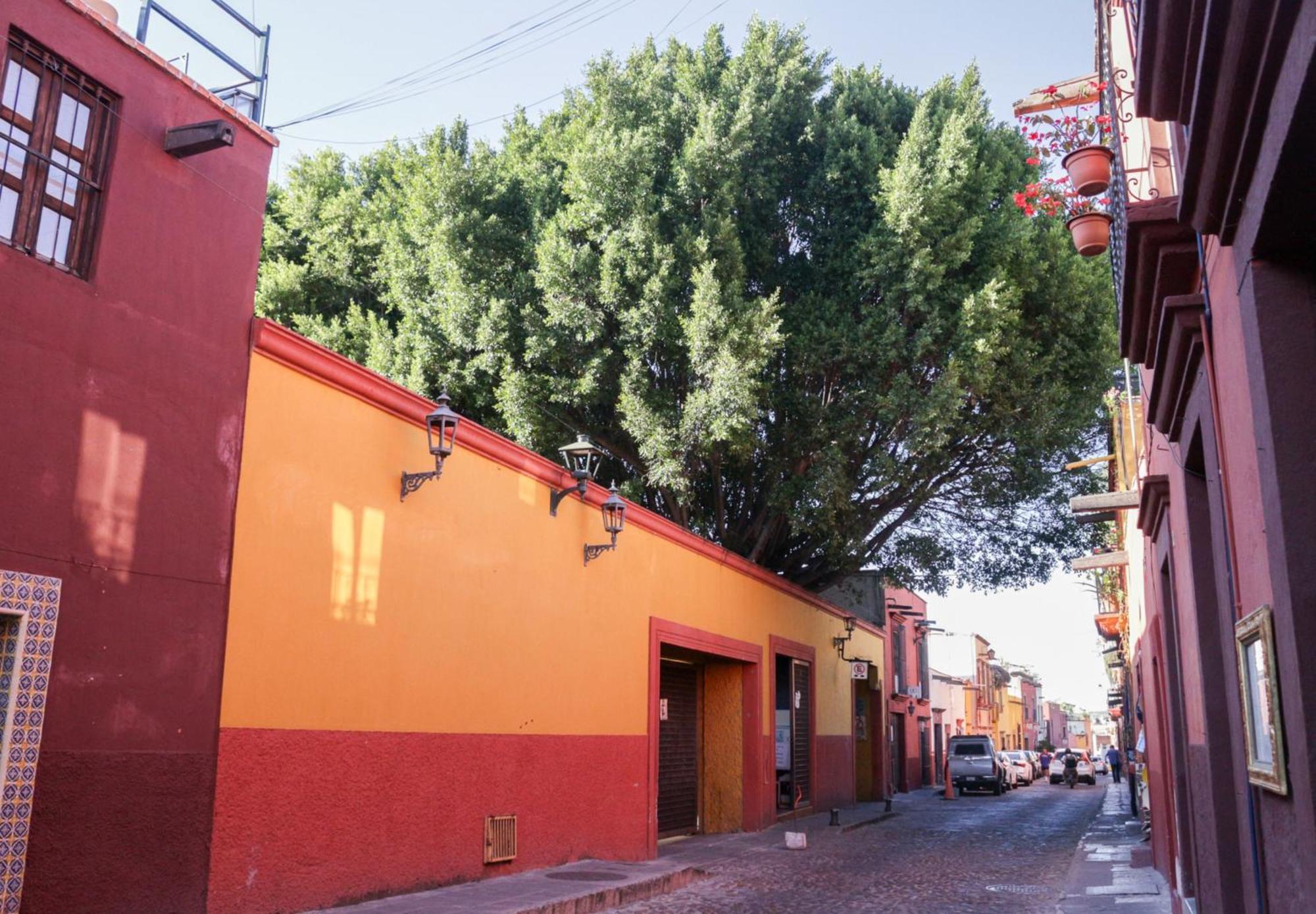 圣米格尔－德阿连德 Casa Relox 43酒店 外观 照片